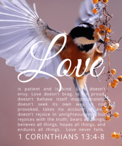Christian Wallpaper – Birdflight 1 Corinthians 13:4-8