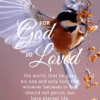 Christian Wallpaper – Birdflight John 3:16
