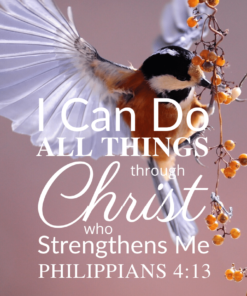 Christian Wallpaper – Birdflight Philippians 4:13