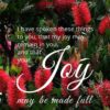 Christian Wallpaper - Bottlebrush John 15:11
