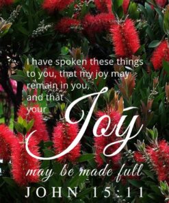Christian Wallpaper - Bottlebrush John 15:11