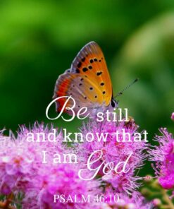 Christian Wallpaper – Butterfly Psalm 46:10
