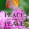 Christian Wallpaper - Butterfly John 14:27