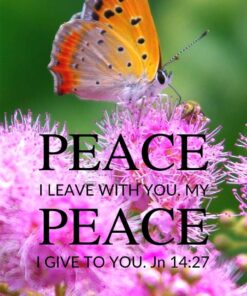 Christian Wallpaper - Butterfly John 14:27