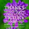 Christian Wallpaper - Candytuft 1 Corinthians 15:57
