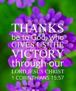 Christian Wallpaper - Candytuft 1 Corinthians 15:57