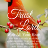 Christian Wallpaper – Cardinal Proverbs 3:5-6