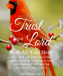 Christian Wallpaper – Cardinal Proverbs 3:5-6