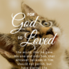 Christian Wallpaper - Cat Eyes John 3:16