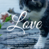 Christian Wallpaper – Cat Paw 1 Corinthians 13:4-8