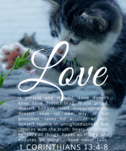 Christian Wallpaper – Cat Paw 1 Corinthians 13:4-8