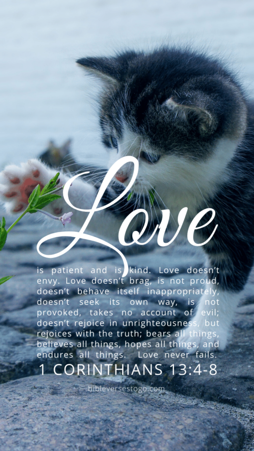 Christian Wallpaper – Cat Paw 1 Corinthians 13:4-8