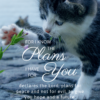 Christian Wallpaper – Cat Paw Jeremiah 29:11
