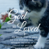 Christian Wallpaper – Cat Paw John 3:16