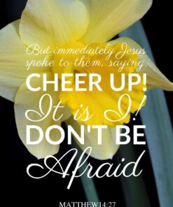 Christian Wallpaper - Cheery Daffodil Matthew 14:27