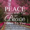 Christian Wallpaper – Cherry Lane John 14:27