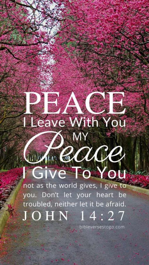 Christian Wallpaper – Cherry Lane John 14:27