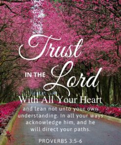 Christian Wallpaper – Cherry Lane Proverbs 3:5-6