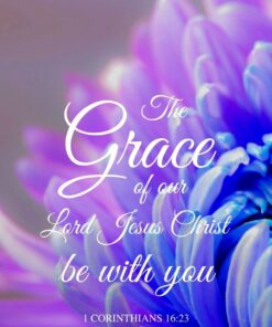 Christian Wallpaper - Chrysanthemum 1 Corinthians 16:23
