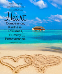 Colossians 3:12 - Heart of Compassion - Bible Verses To Go
