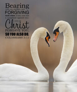 Colossians 3:13 - Forgiving Others - Bible Verses To Go