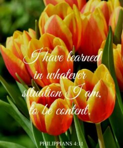 Christian Wallpaper - Contentment Philippians 4:11