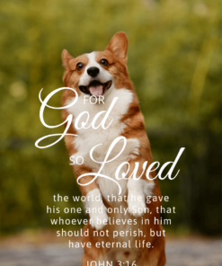Christian Wallpaper – Corgi John 3:16