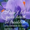 Christian Wallpaper - Crocus John 14:1