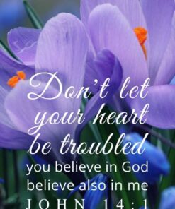 Christian Wallpaper - Crocus John 14:1