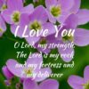 Christian Wallpaper - Cuckoo Flowers Psalm 18:1-2
