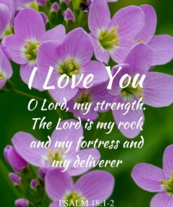 Christian Wallpaper - Cuckoo Flowers Psalm 18:1-2