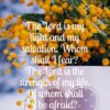 Christian Wallpaper - Cup of Mimosa Psalm 27:1