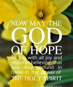 Christian Wallpaper - Daffodils Romans 15:13