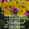 Christian Wallpaper - Daffodils Matthew 6:9 Lord's Prayer