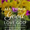 Christian Wallpaper – Daffodils Romans 8:28