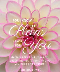 Christian Wallpaper – Dahlia Jeremiah 29:11