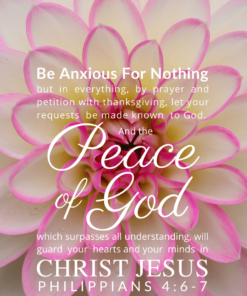 Christian Wallpaper – Dahlia Philippians 4:6-7