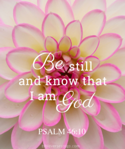 Christian Wallpaper – Dahlia Psalm 46:10