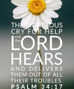 Christian Wallpaper - Daisy Psalm 34:17