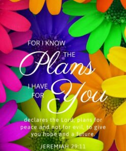 Christian Wallpaper – Daisy Mix Jeremiah 29:11
