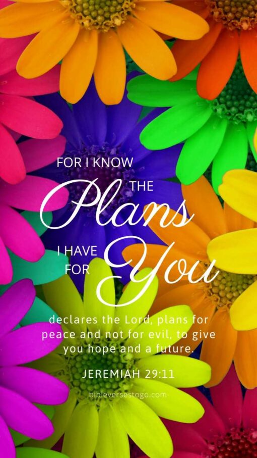 Christian Wallpaper – Daisy Mix Jeremiah 29:11