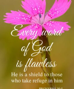 Christian Wallpaper - Dianthus Proverbs 30:5