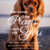 Christian Wallpaper - Dog Hope Jeremiah 29:11