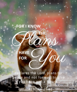 Christian Wallpaper - Dog Smile Jeremiah 29:11