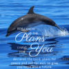  Christian Wallpaper – Dolphin Jeremiah 29:11