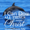  Christian Wallpaper – Dolphin Philippians 4:13