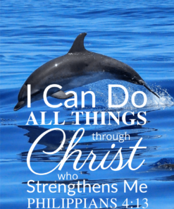  Christian Wallpaper – Dolphin Philippians 4:13