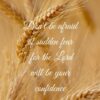 Christian Wallpaper - Don't Be Afraid Proverbs 3:25-26