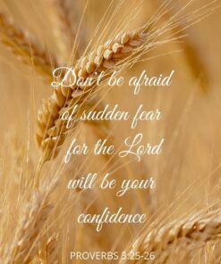 Christian Wallpaper - Don't Be Afraid Proverbs 3:25-26