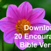 Encouraging Bible Verses